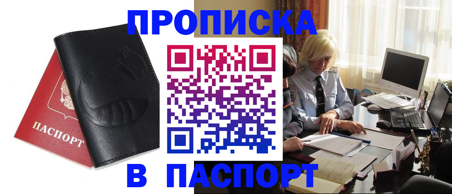 временная регистрация поиск в Курчалом